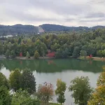 Fuzine Lake Apartments Apartman