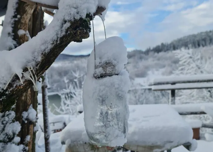 Fuzine Lake Apartments